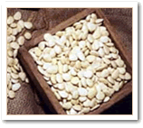 Detalle almendra Marcona