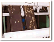 Máquina Electrónica